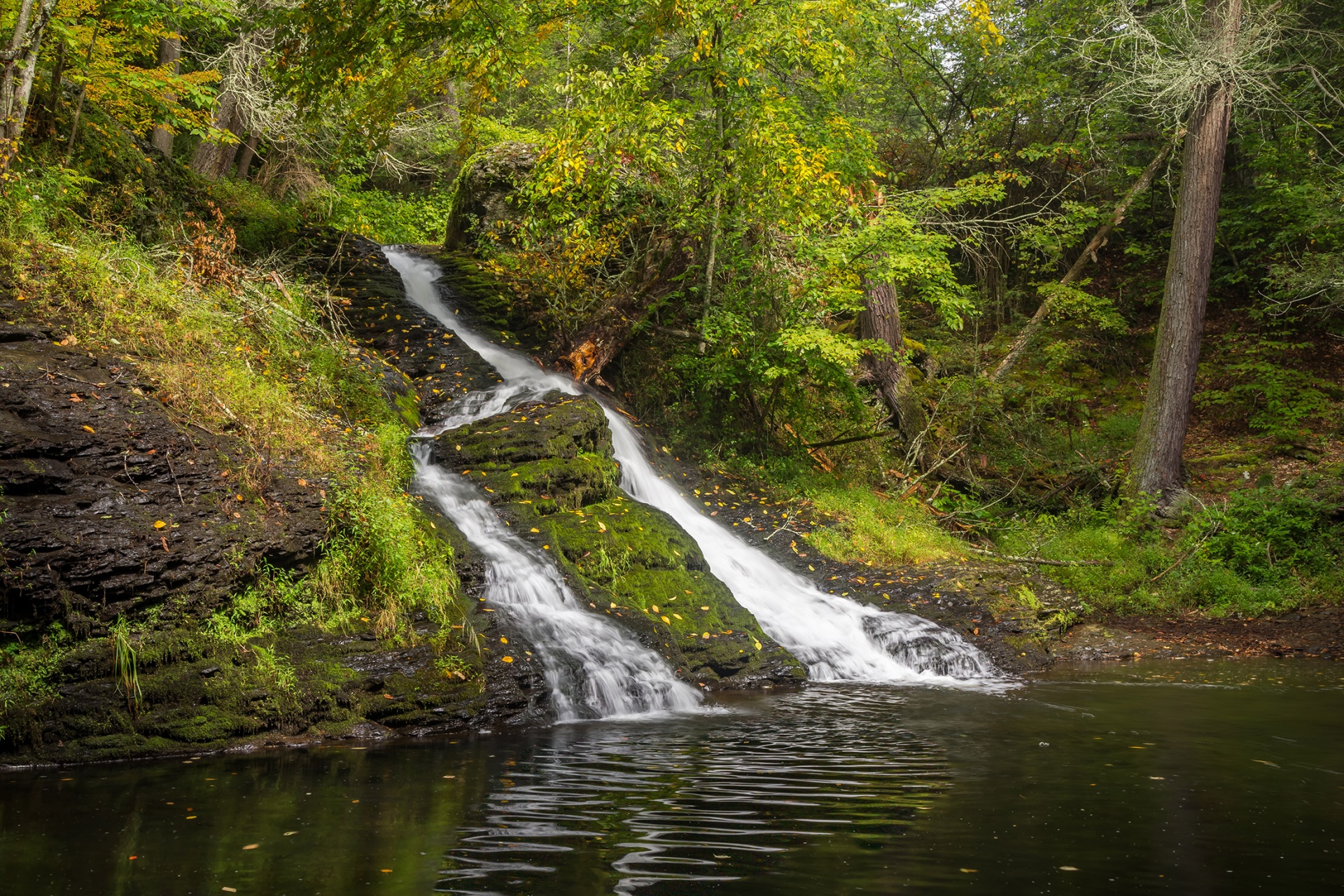 A split waterfall in Pennsylvania forest