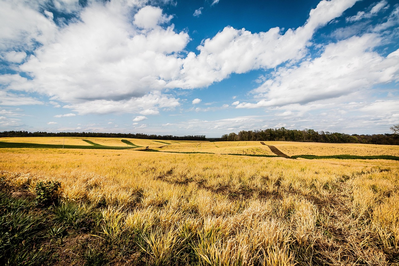 field in ohio